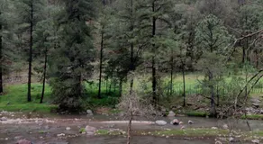 Tello de luks - Image 2
