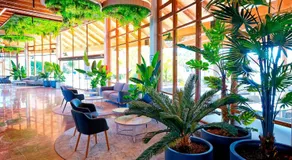 Sport Hotel Monte Feliz - powered by Playitas - Image 4