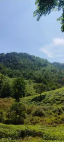 Vidyas Retreat's Rustic Roots- Farm Staycation - Image 4