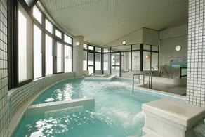 WellnessPark Goshiki Hamachidori - Image 3
