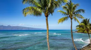 KBM Resorts | FREE CAR | Lokelani | Oceanfront | 2-Bedroom Condo, Recently Remodeled, includes Beach Gear! LOK-B203 - Image 4