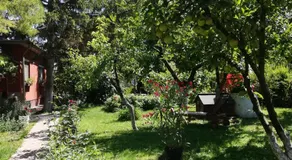 Árnyas Vendégház Hajdúszoboszló - Image 5
