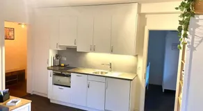 Beautiful flat with balcony and partial lake view - Image 4