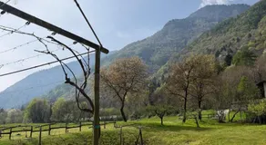Frà Dolcino Hosteria Alpina - Image 4
