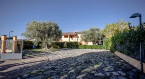 IMMERSA NEL VERDE - Image 4