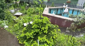 Hotel In Georgia - Image 5