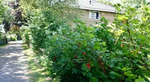 B&B de Pastory - Image 5