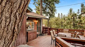 Castle Rock Cabin #178 - Image 4