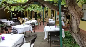 Bed & Breakfast Zum Alten Weinstock - Image 5