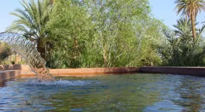 Dar Paru - Image 4
