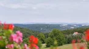 Gasthaus Hummel - Image 5