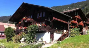 Apartment im 4-Sterne Berghotel über Interlaken-Thunersee - Image 3