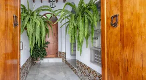 Casa Pepa - Image 3