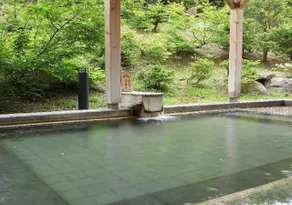 Towada Lake Onsen Hotel Towada - Image 3
