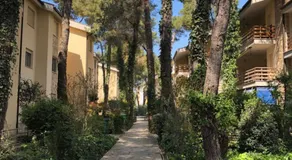 Pine-Tree Apt w/ Private Garden 50 m from the Sea - Image 4
