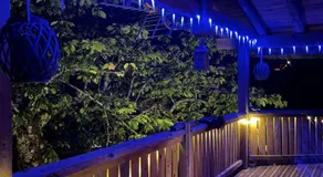 Chalet cocooning pleine nature - Image 4