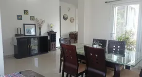 Lashisha - Image 5