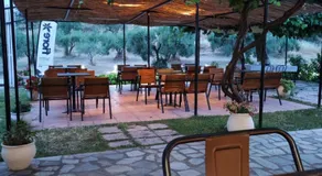 Perix House - Image 3