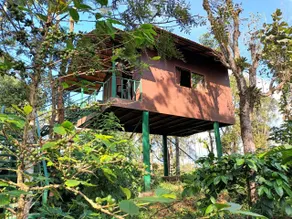 Three house - Image 2