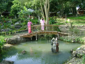 BaanNumhoo Homestay Resort & Camping - Image 4