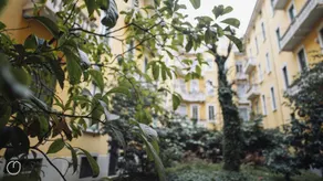 Italianway - Vivaio 6 - Image 5