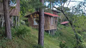 Campos de Oro Wilderness Lodge - Image 4