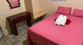 El Conde de Villa Rosa - Image 2