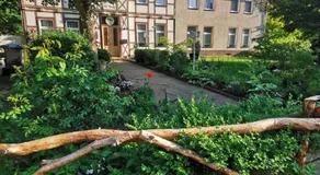 Pension im Tal der Stille - Thale OT Treseburg - Image 3