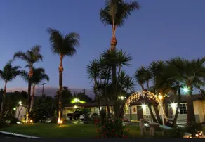 Palm Tropics Motel - Image 4