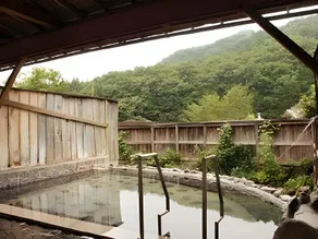 Kinugawa Niouson Plaza Hotel - Image 2