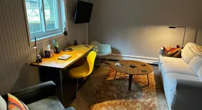 Mid-Century DJs Dream near Rhinebeck - Image 5