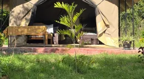 Treasure camp - Image 2