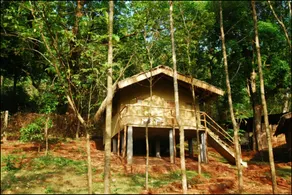 Old Magazine House - Jungle Lodges - Image 3