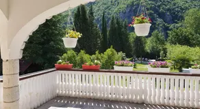 Sara - Image 3