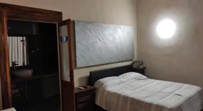ZED-HOUSE - Image 3