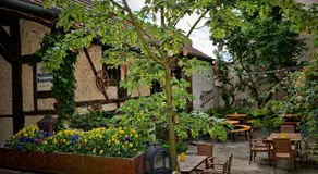 Hotel Walfisch - Image 4