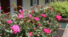 Lodge at Kennebunk - Image 4