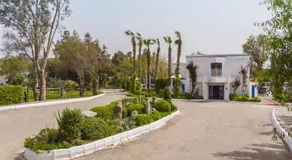 Club Muskebi - Image 5
