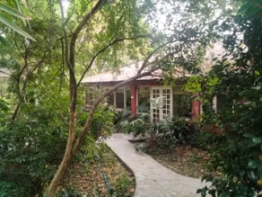 The Jungle Bungalow #Bella Finestra - Image 2
