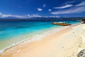 BALE DATU BUNGALLOW - Image 4