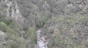 Tello de luks - Image 4