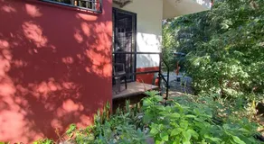 Casa Avi Fauna Nature & Saltwater Pool Restreat - Image 5