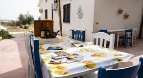 Capinera - Image 4