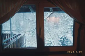Forest View, Pet friendly Chalet with a garden - Image 4