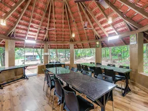 Aanejari Butterfly Camp-junglelodges - Image 5