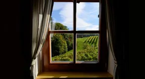 Weingut Schwarzl - Image 4