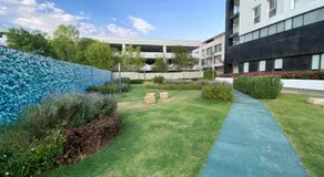 Sonata para 8 y pet friendly - Image 4