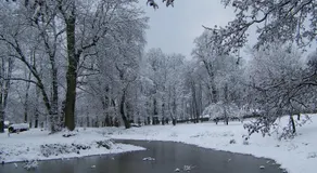 Pałac Dąbrowica - Image 4
