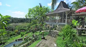 Bali Lush - Image 2