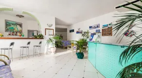 B&B Verde - Image 4